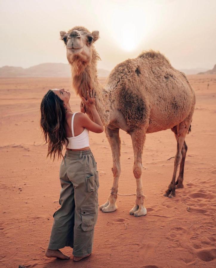 Sun Luxury Camp &Tour Lejlighed Wadi Rum Eksteriør billede