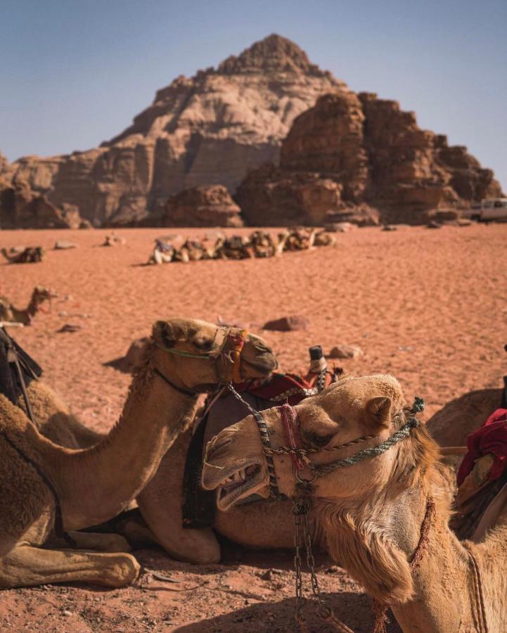 Sun Luxury Camp &Tour Lejlighed Wadi Rum Eksteriør billede