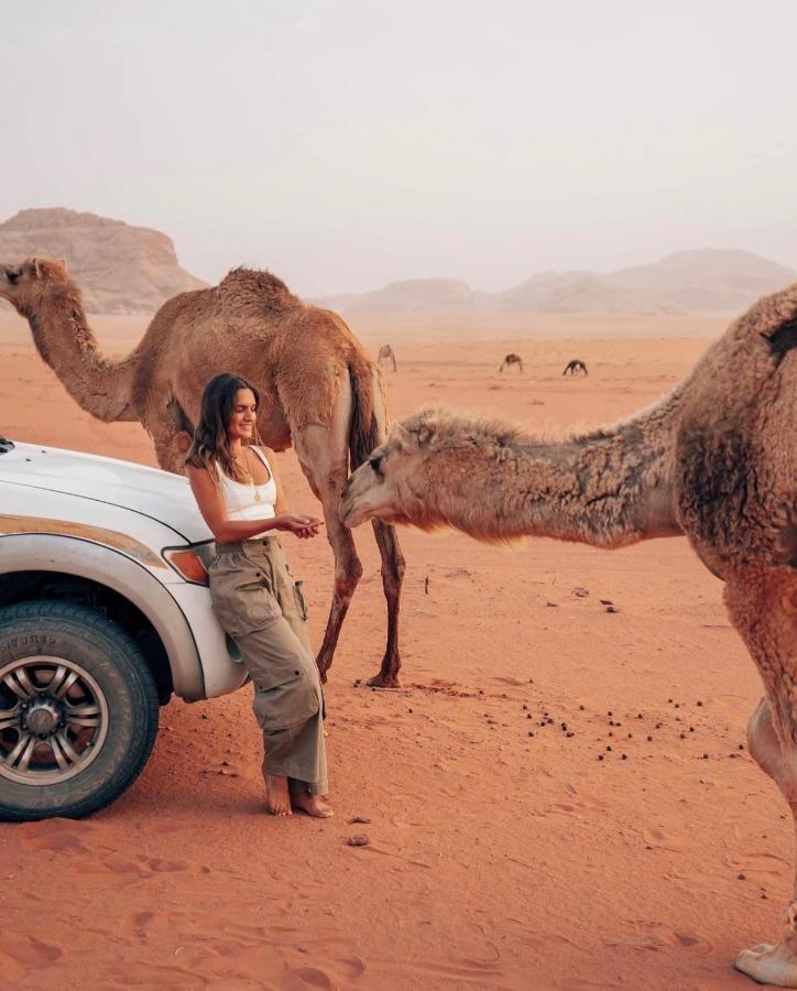 Sun Luxury Camp &Tour Lejlighed Wadi Rum Eksteriør billede