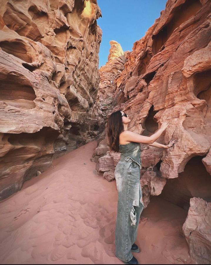 Sun Luxury Camp &Tour Lejlighed Wadi Rum Eksteriør billede